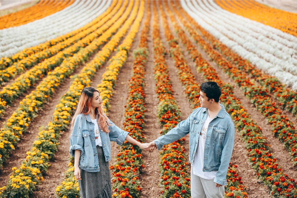 日本北海道四季彩之丘和富良野薰衣草田婚紗拍攝
